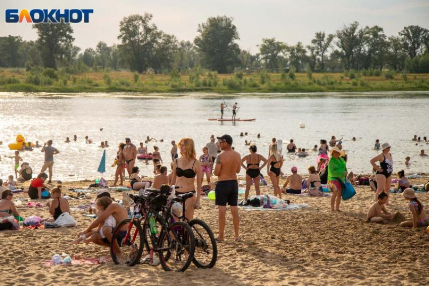 День Пантелеймона Кочанного: что сулит капуста и чего остерегаться