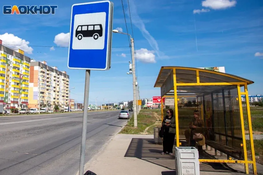 В Волжском запустят дополнительные автобусы после матча Россия - Буркина-Фасо