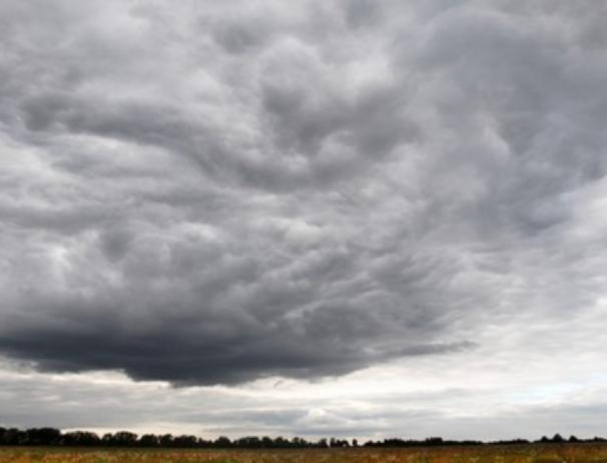 Сильный ветер и всего +10 градусов ждут волжан в День книги