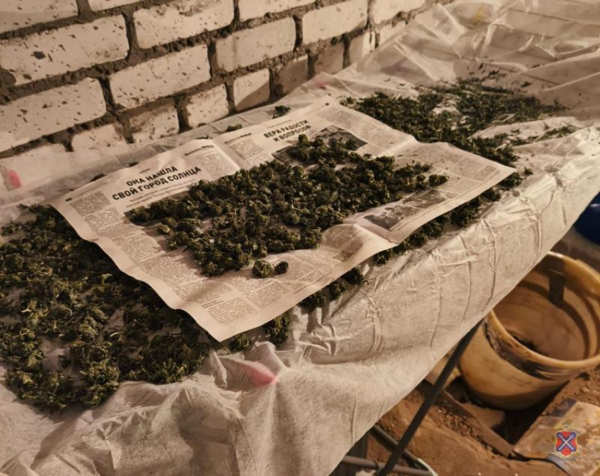 Крупная партия марихуаны изъята в Волжском: многократный рецидивист в гараже готовил наркотики на продажу