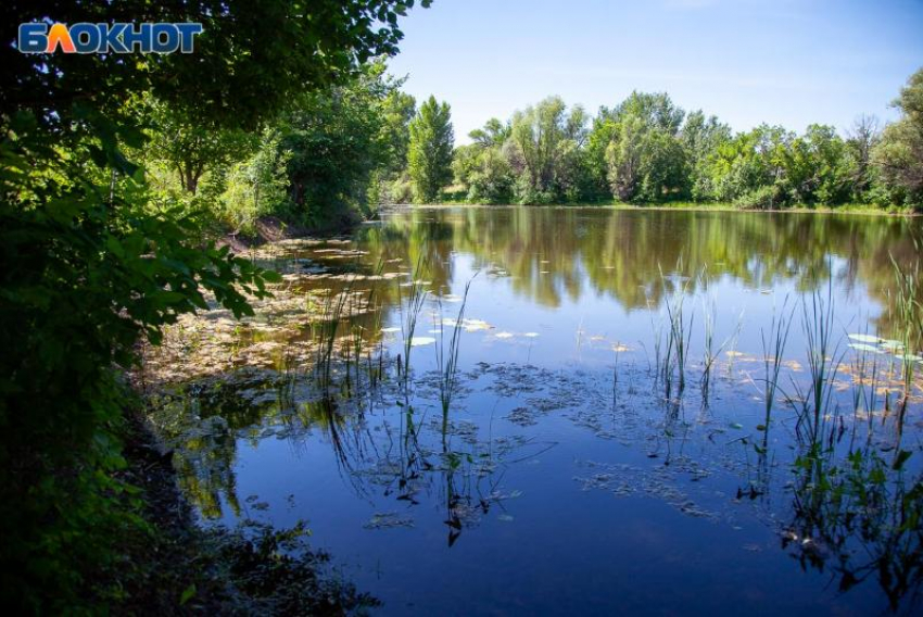 В четверг солнце будет прятаться за тучами: прогноз погоды в Волжском