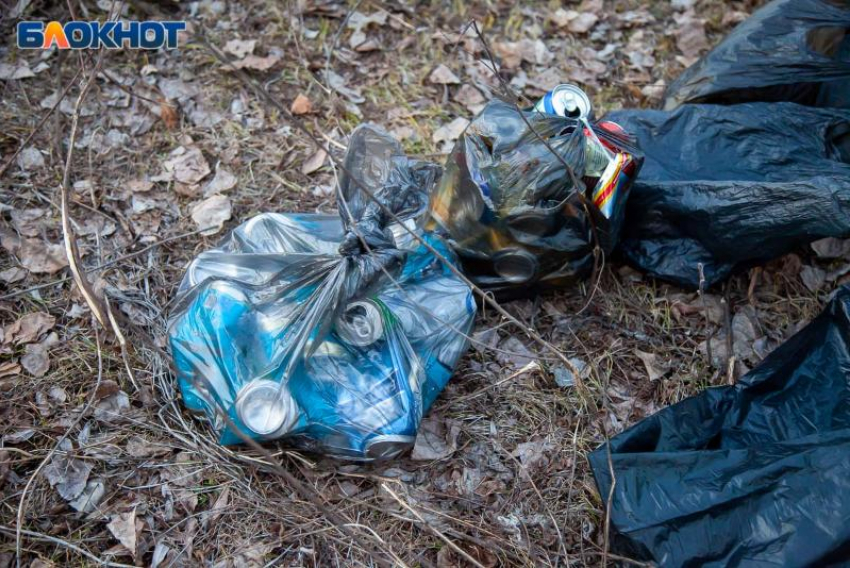 Лишь 7% волжан считают, что свалка на берегу Ахтубы законна