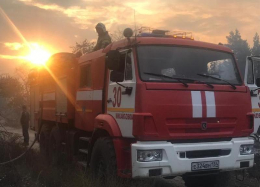 330 га лесного фонда спасены от огня в Волгоградской области