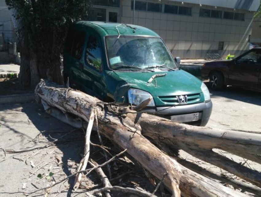 У вокзала в Волжском рядом с авто рухнуло дерево