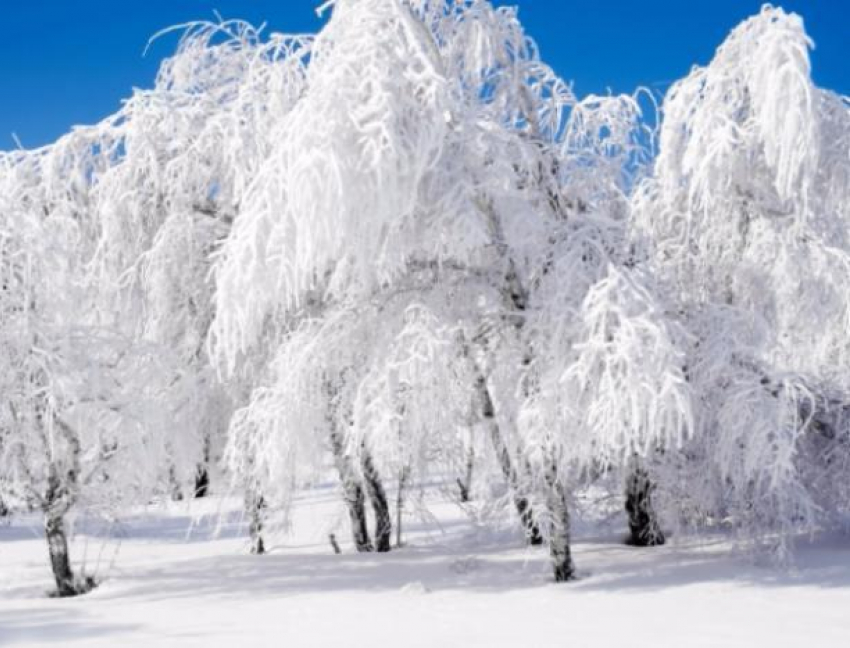 В первый день зимы волжанам пообещали замерзающий туман
