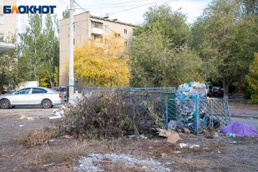 В Волжском регоператор наконец согласился вывозить листву из мусорных контейнеров и ввел льготы