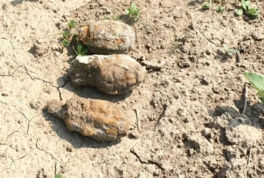 Четыре гранаты времен ВОВ обнаружили на дороге в Волгограде