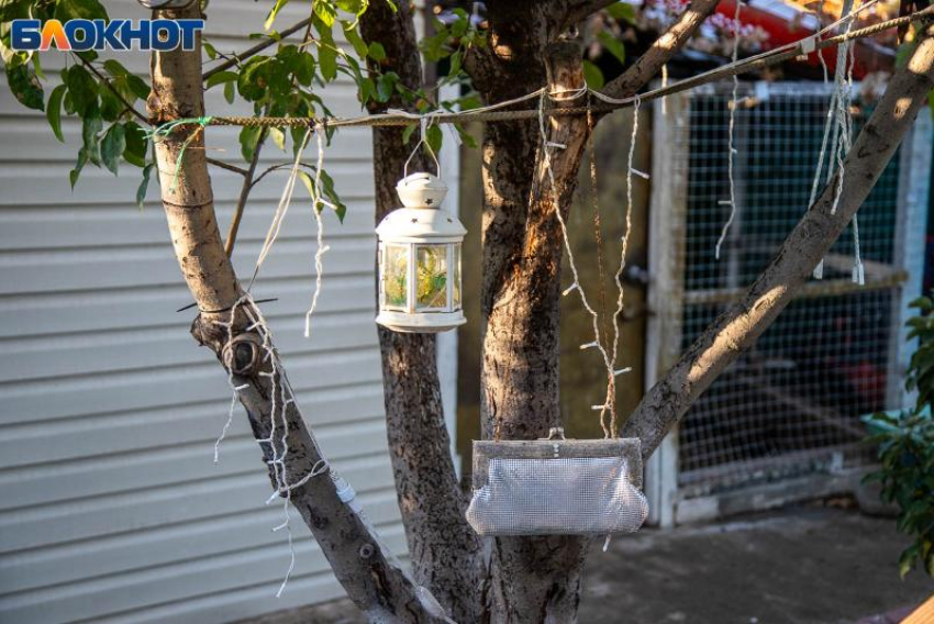 День Дениса Позимнего: как защититься от нечисти и приманить удачу