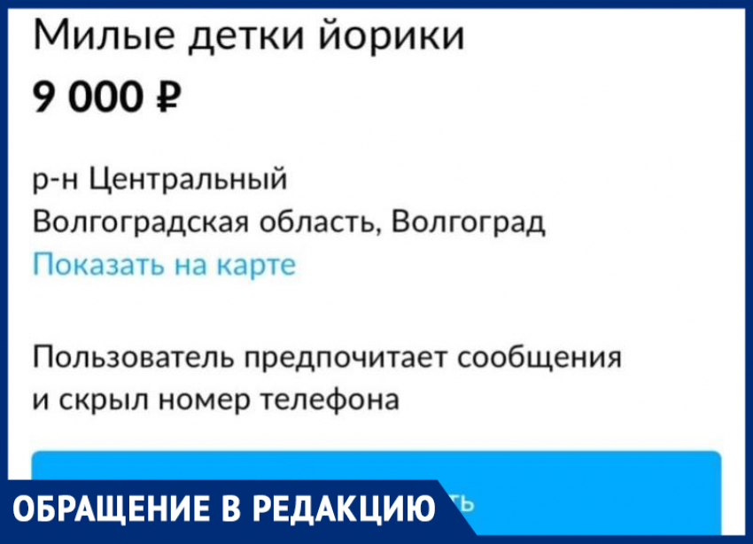 «Я бы вдул», как на такую фразу в свой адрес реагируют девушки, женщины?