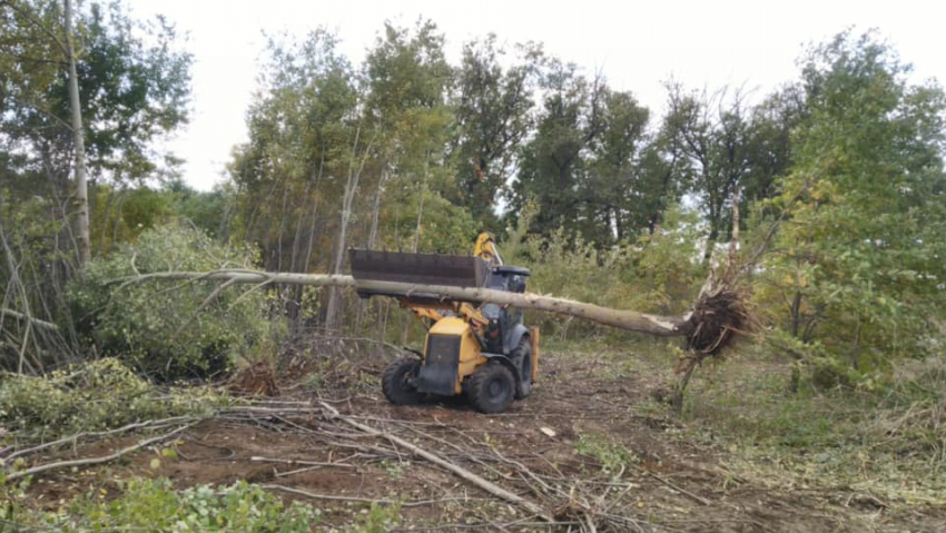 Волжане не верят, что действия активистов спасут пойму от вырубки