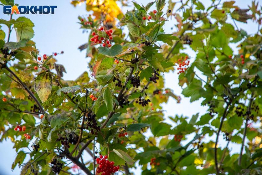 День тонкой грани осени и зимы: традиции, запреты, старинные приметы