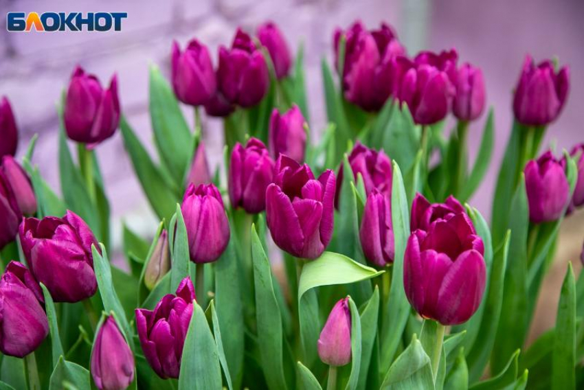 Сутки несут нервную атмосферу: гороскоп на 9 февраля