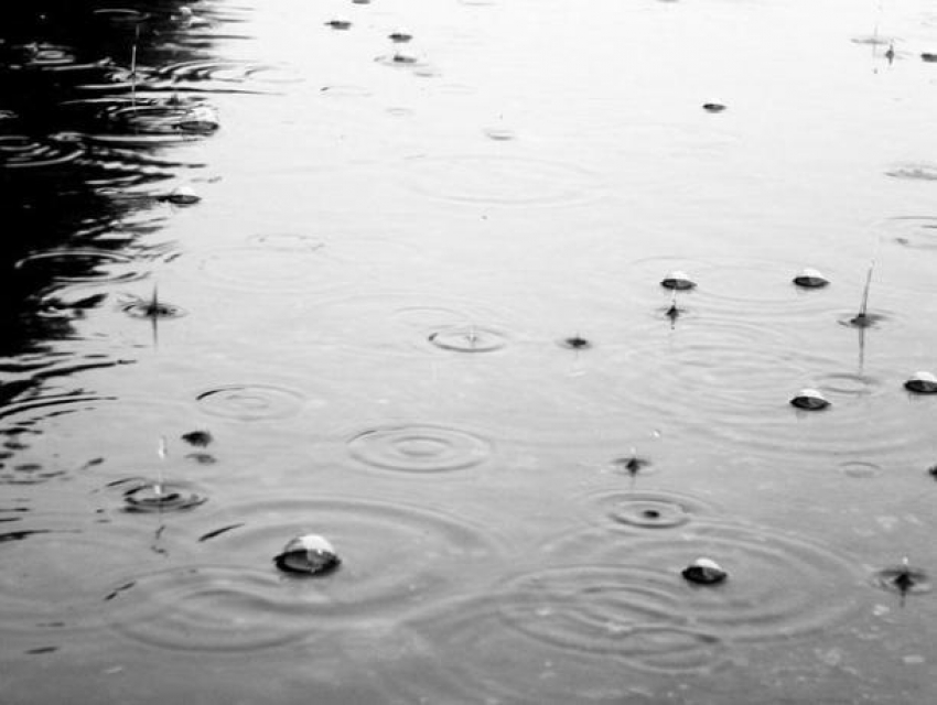 Туман, дождь и ветер: второй месяц весны в Волжском не сдается