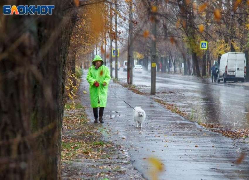 Дождь снег и магнитная буря ждет волжан в воскресенье: прогноз погоды