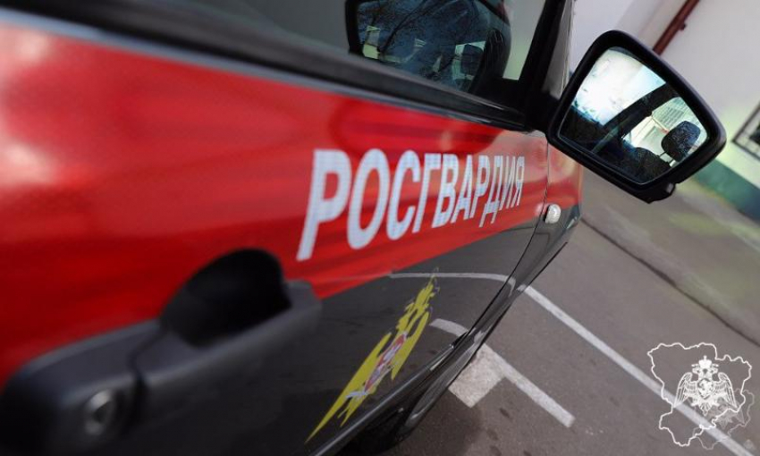 Елочные игрушки и одежда стали добычей злоумышленников в Волжском