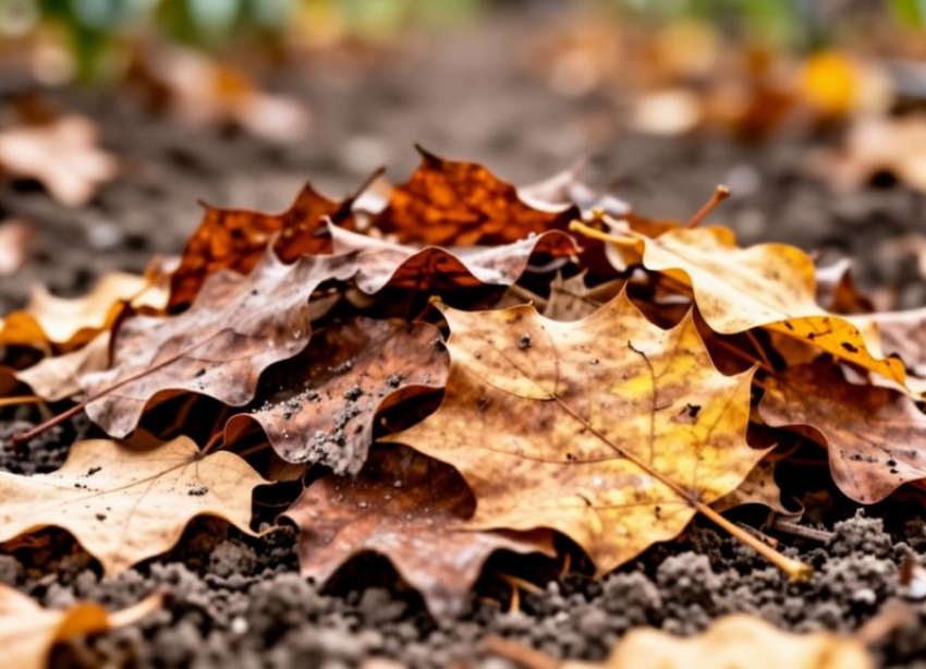 Власти Волжского дали разъяснение, куда девать листву и ветки