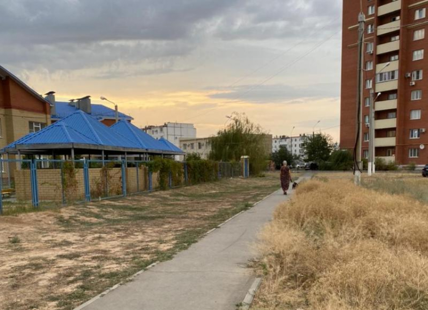 Собаки загадили территорию у детского сада в Волжском: видео