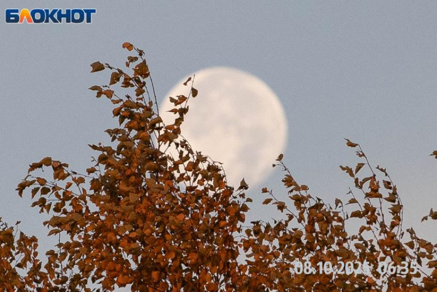 Утро конфликтов, вечер гармонии: астрологи предупреждают о непростом старте дня