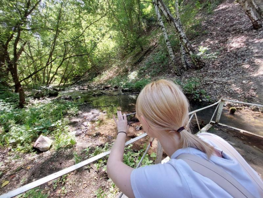 Экотуризм в Волгоградской области набирает обороты: парки и ботсад приняли свыше 100 тысяч гостей