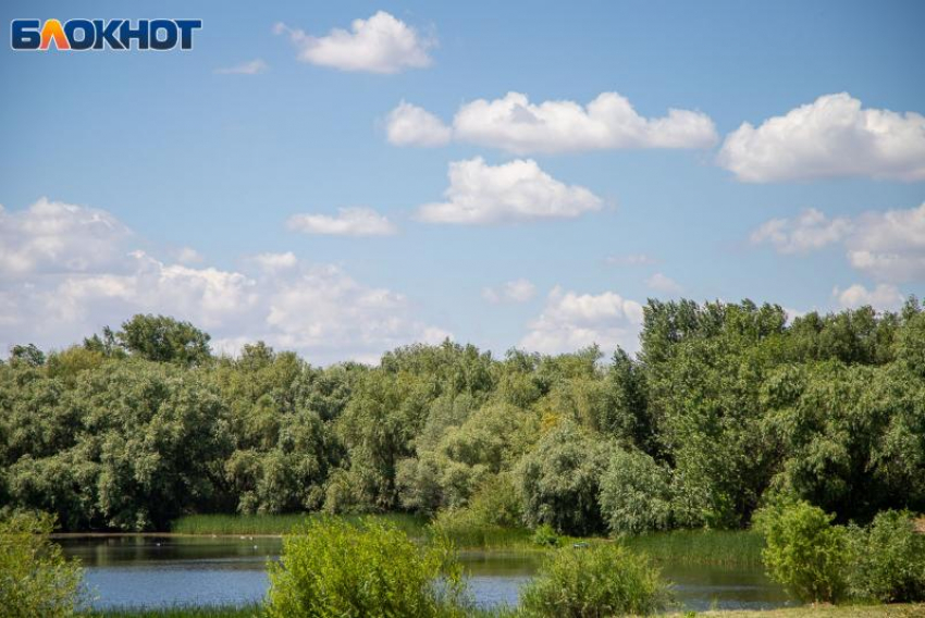 Не несите найденные деньги в дом: советы волжской травницы