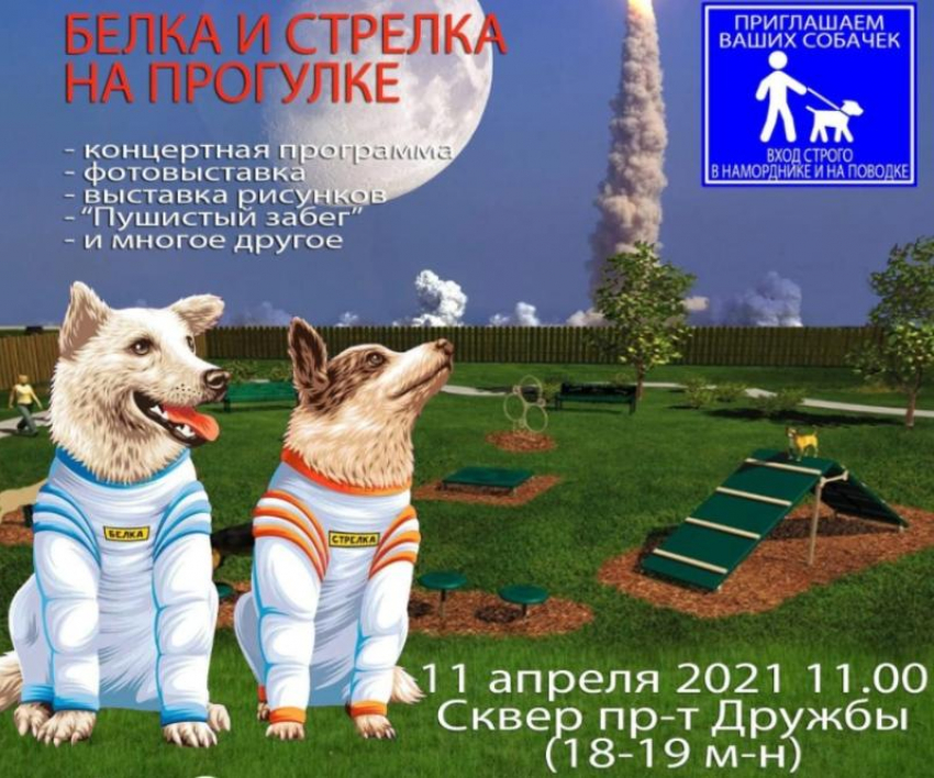 В Волжском состоится торжественное открытие площадки для дрессировки собак