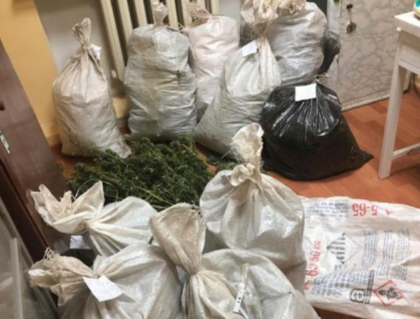 Тридцать два килограмма марихуаны прятали в сарае двое жителей региона