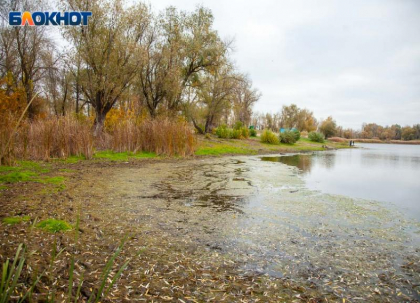 Пасмурная суббота ждет волжан: прогноз погоды