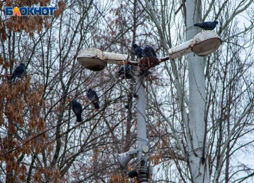 Температурные качели и ветер ждут волжан во вторник: прогноз погоды