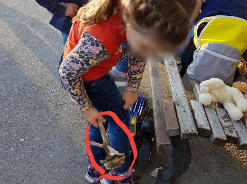 Детские ручки разворотили зеленую площадку в парке Волжского на глазах у своих равнодушных мам