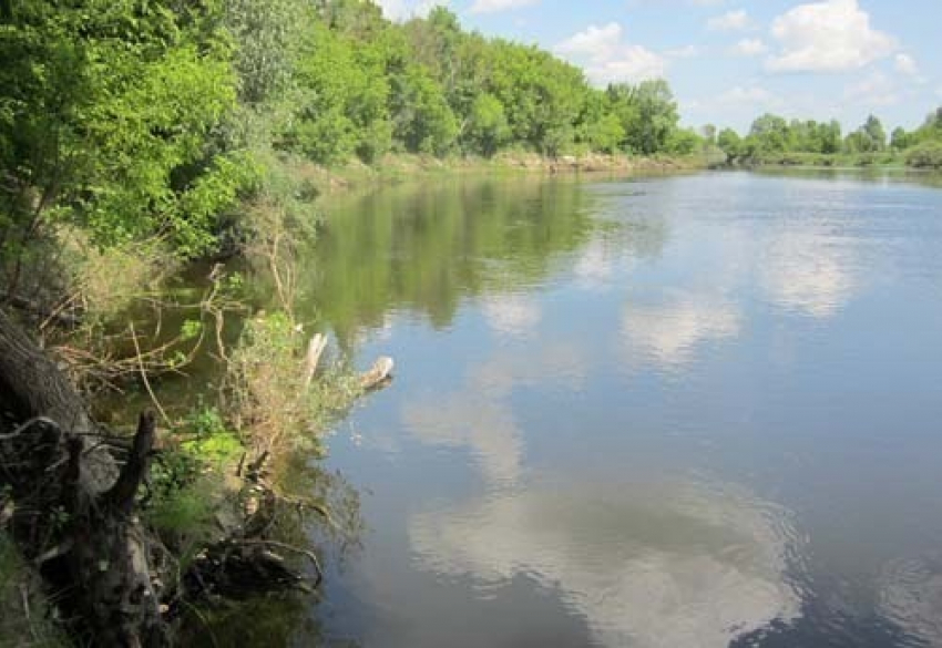 Под Волгоградом в реке нашли автомобиль с трупами мужчины и собаки