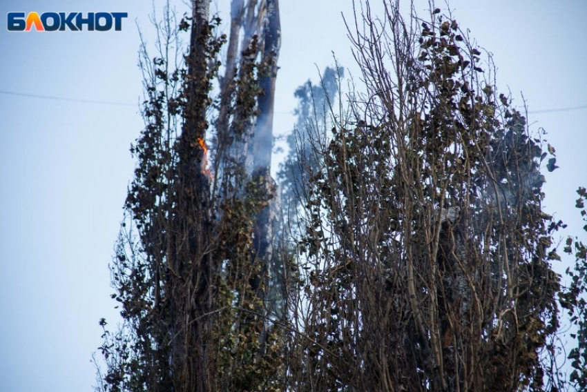 В Волжском на протяжении суток ожидается высокая пожароопасность