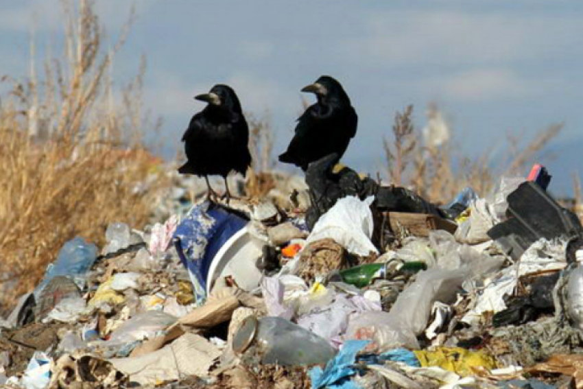 В Волжском на мусорном полигоне перерабатывали отходы вместе с миллионами