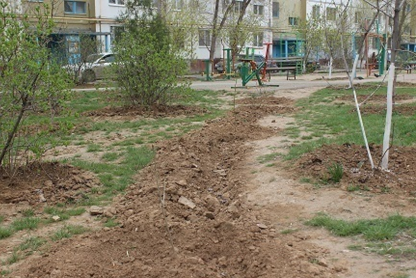 В Волжском озеленили 15 дворов