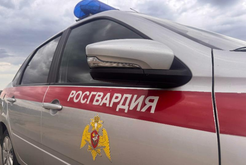 Кража и пьяный скандал: Росгвардия пресекла нарушения в Волжском