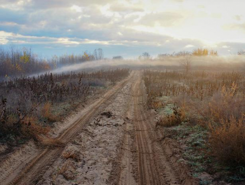 Среда будет прохладной и ветряной