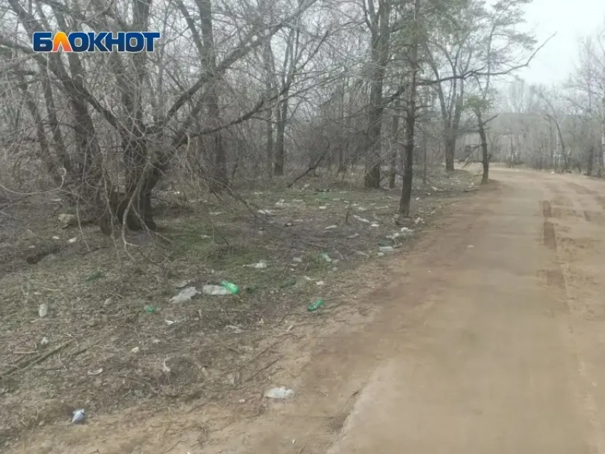 «Экологическая катастрофа»: вместо подснежников Волжский заполнил мусор