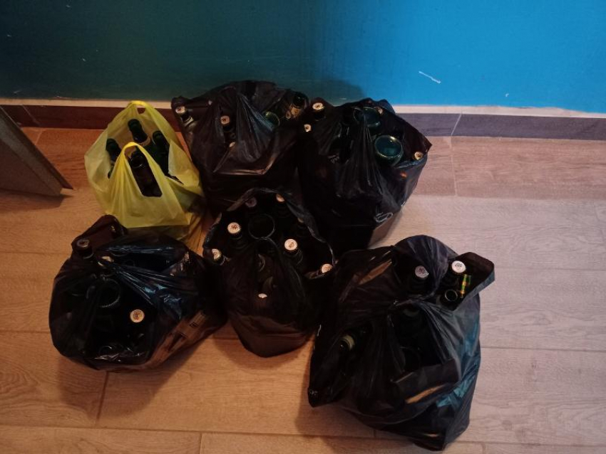 «Сдай бумагу - накорми собаку»: волонтеры из Волжского собирают вторсырье и помогают приюту