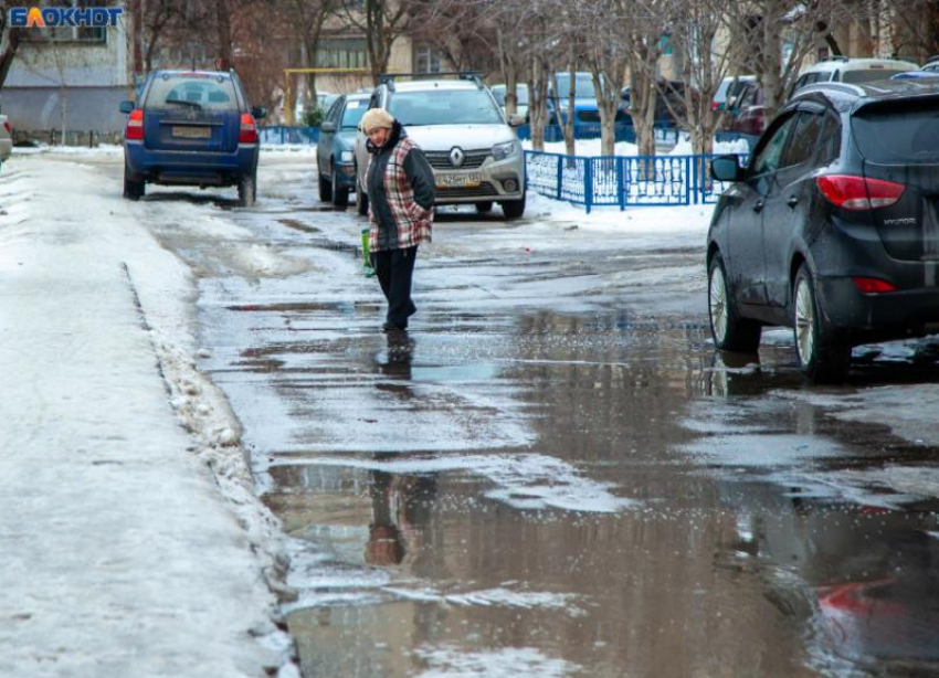 В день насекомых в Волжском будет холодно и мокро