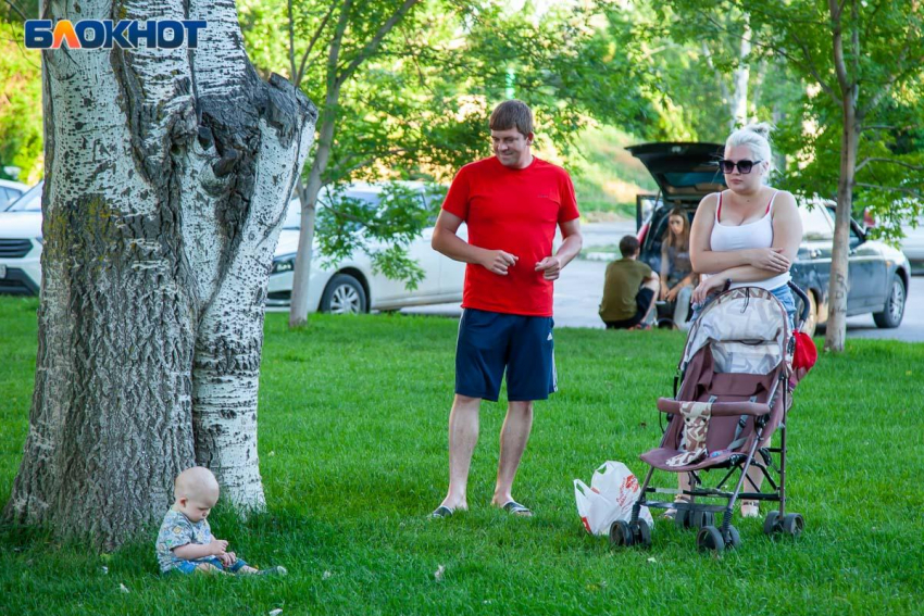Погода шепчет: волжане собираются на неспешную прогулку