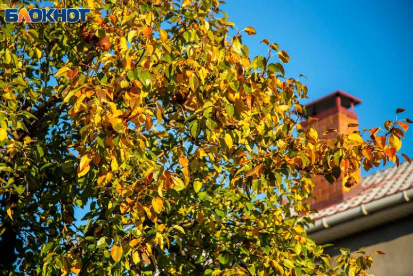 Ветер усилится в Волжском в среду: прогноз