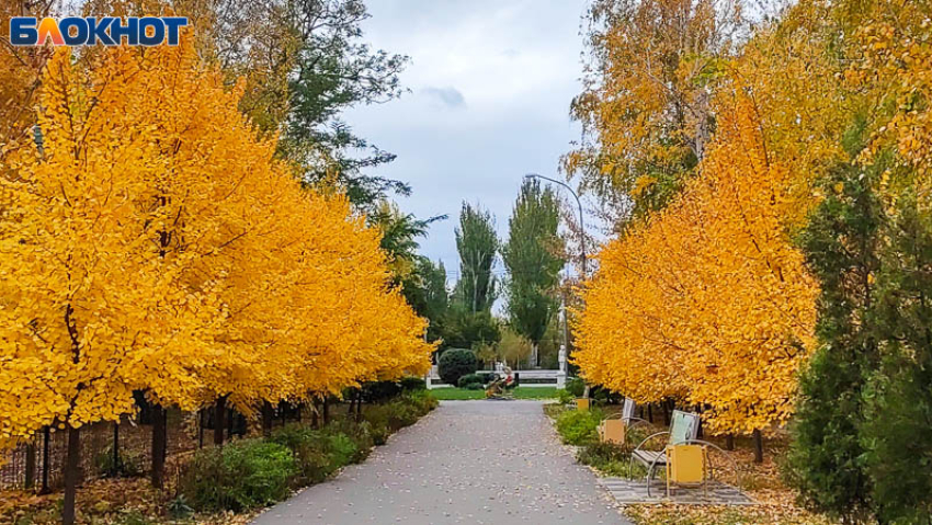 Рабочая суббота и 4 выходных подряд ждут волжан