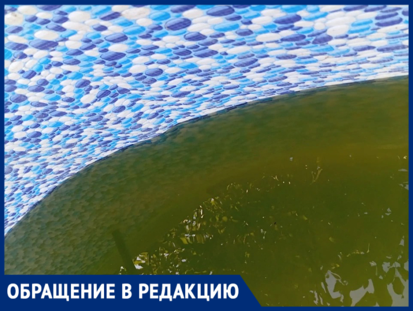 «Отравленная вода и бездействие правления» : жительница СНТ „Цветущий Сад“ в Волжском  бьёт тревогу