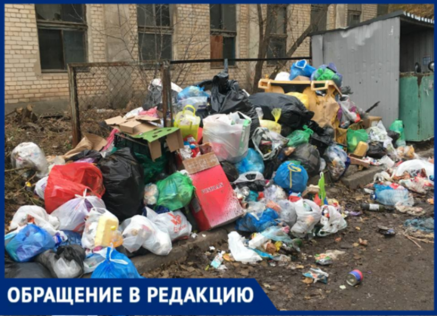 Свалка у общежития: волжане жалуются на антисанитарию и требуют контейнеры