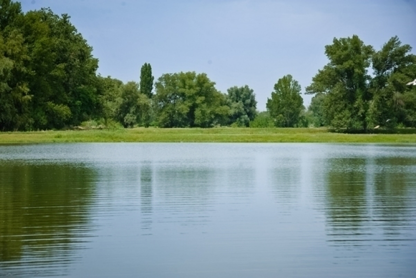 На федеральном уровне обсудили строительство водовода в обход плотины Волжской ГЭС