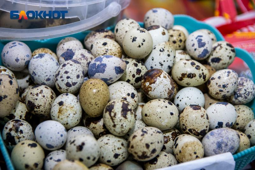 Из куриных яиц могут появиться змеи, или зачем наши предки варили все яйца