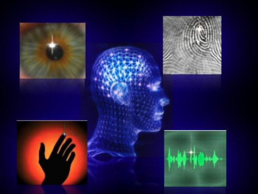 Лицо гражданина может стать его уникальным билетом в музей