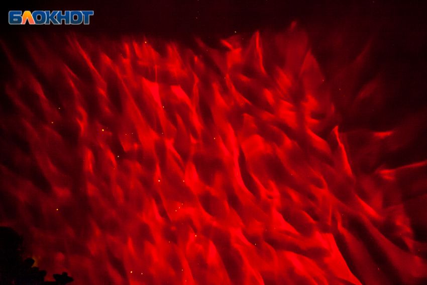 День зарядит порцией смелости: гороскоп на 22 ноября