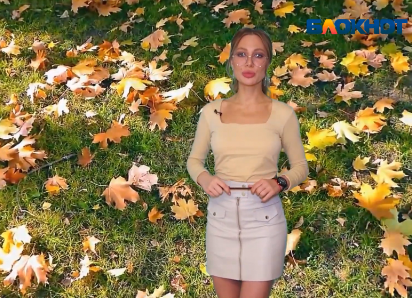 Живи или умри: Катя Американо провела урок юных грибников в Волжском