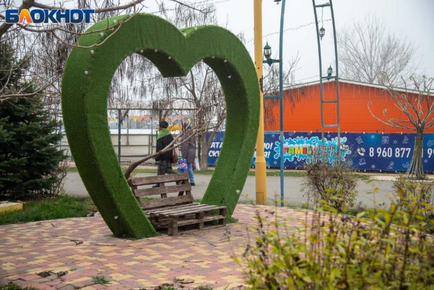 Экология в руках горожан: волжане становятся общественными инспекторами