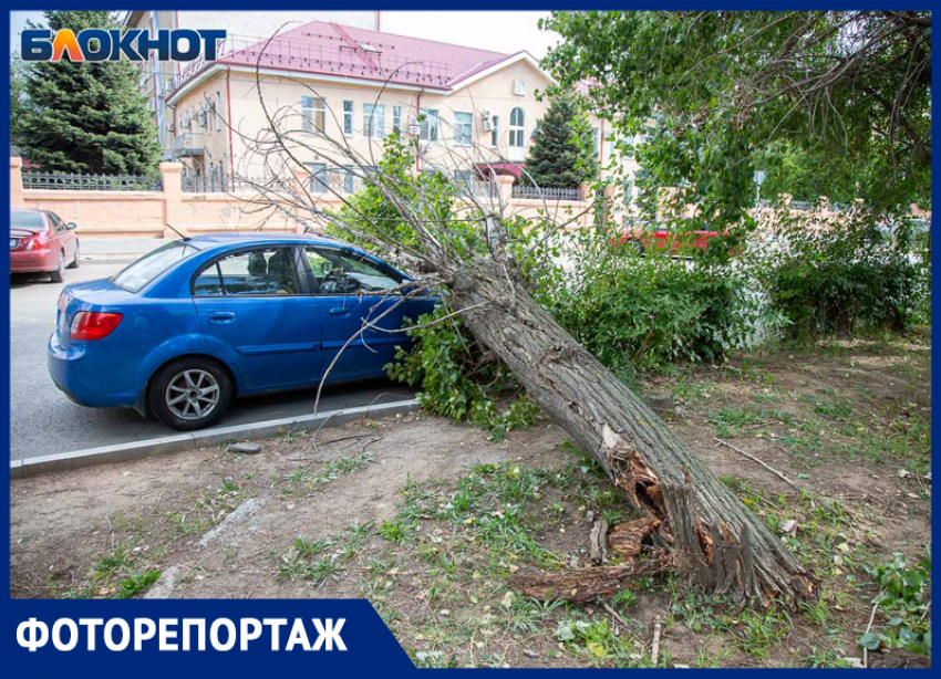 Последствия урагана в Волжском: фото